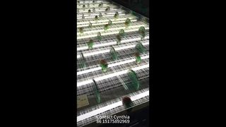 Nhiều kiểu dáng khác nhau của lưới nhiều lớp thủy tinh có sẵn