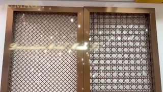 Video quay thực tế của lưới trang trí kim loại